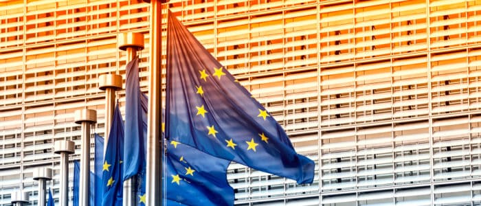 The Costs of the EU’s Strategic Autonomy Agenda – Why Member States Should Stop Ignoring Them