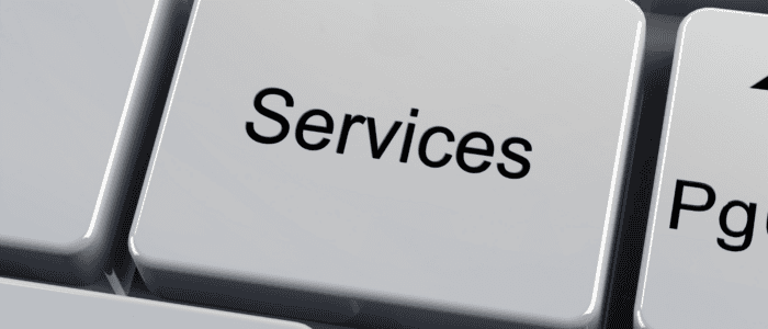 EU Services Part I